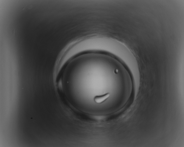 X0000101480196200807071511