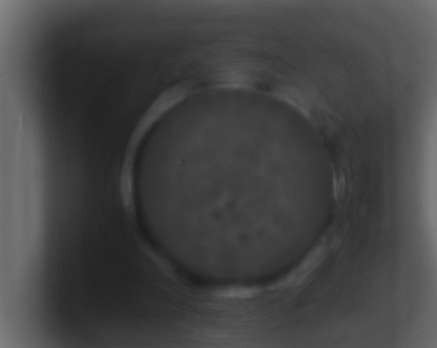 X0000101480198200807071511