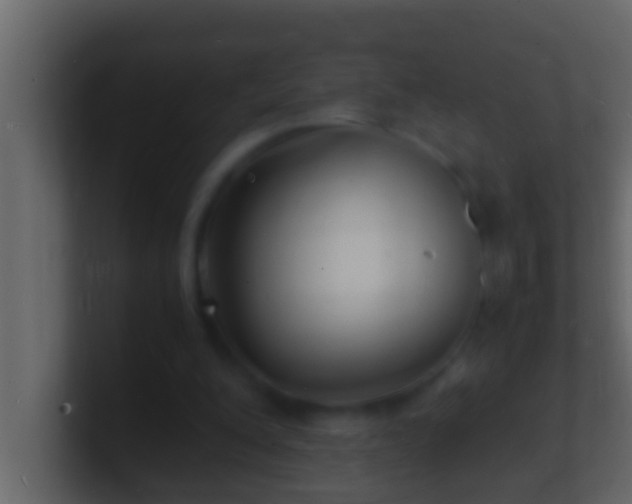 X0000101480200200807071511