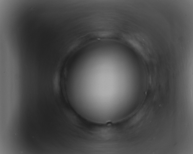 X0000101480201200807071511