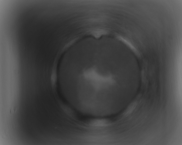 X0000101480202200807071511