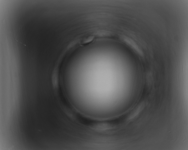 X0000101480203200807071511
