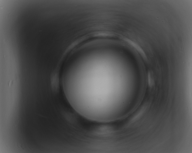 X0000101480204200807071511