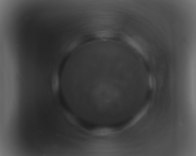 X0000101480205200807071511