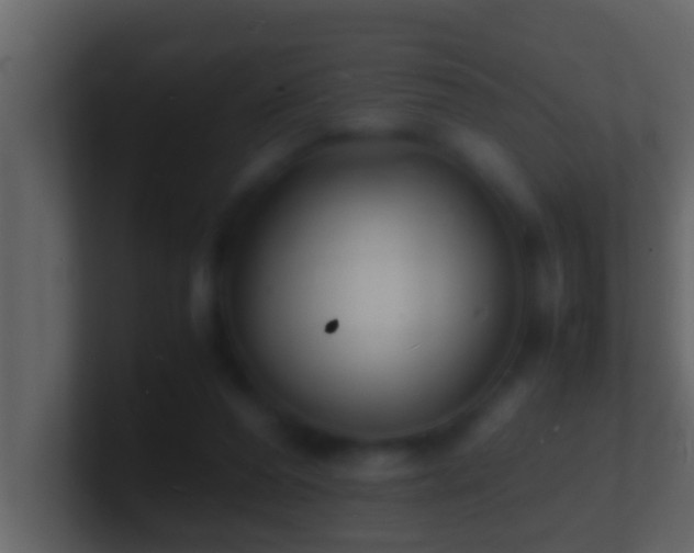 X0000101480208200807071511