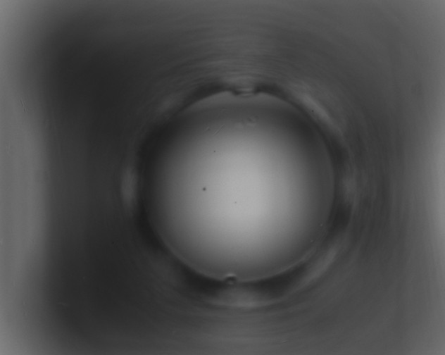 X0000101480211200807071511