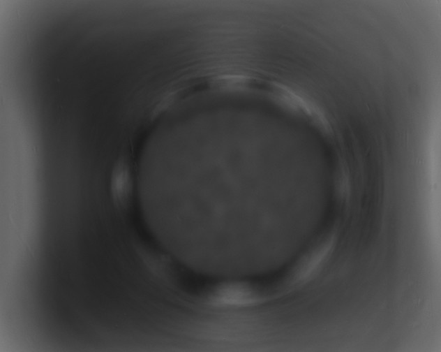X0000101480214200807071511