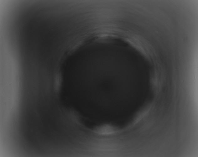 X0000101480219200807071511
