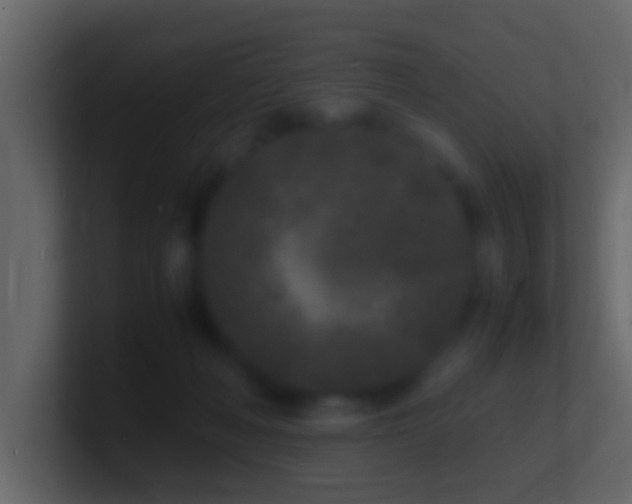 X0000101480222200807071511