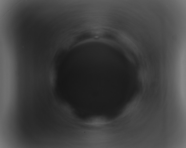 X0000101480223200807071511