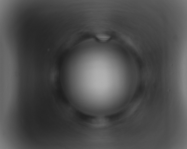 X0000101480225200807071511