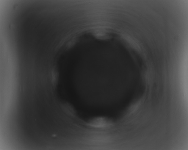 X0000101480227200807071511