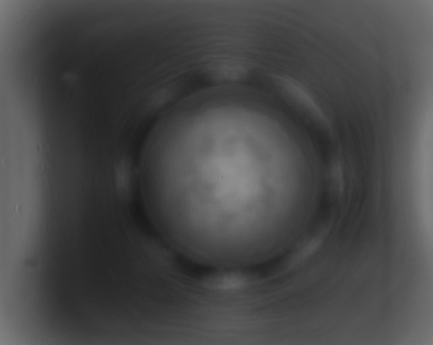 X0000101480228200807071511