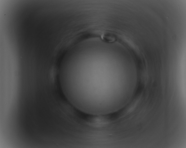 X0000101480229200807071511