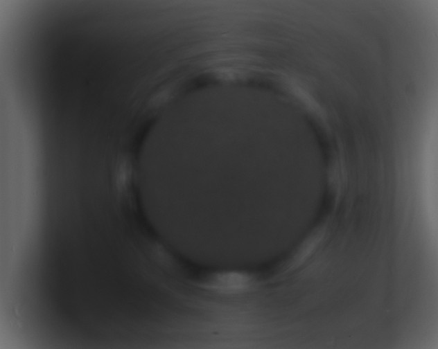 X0000101480233200807071510