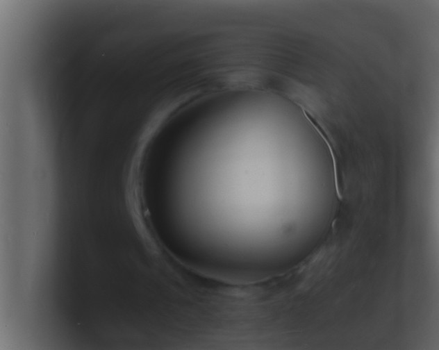 X0000101480241200807071510