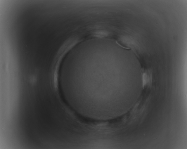 X0000101480243200807071510