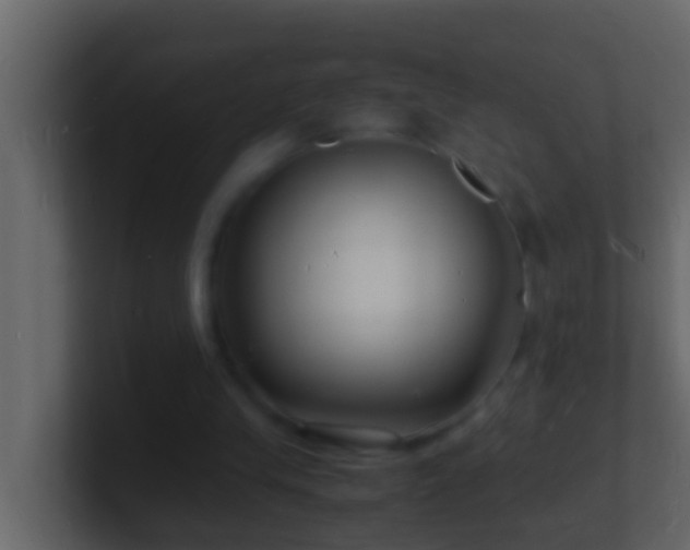 X0000101480245200807071510