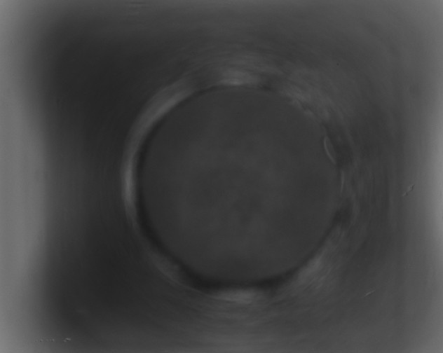 X0000101480247200807071510