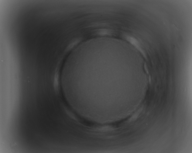 X0000101480249200807071510