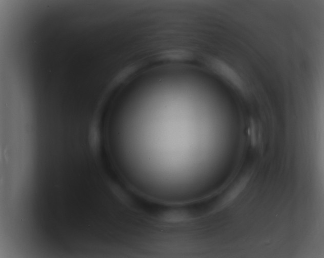 X0000101480252200807071510
