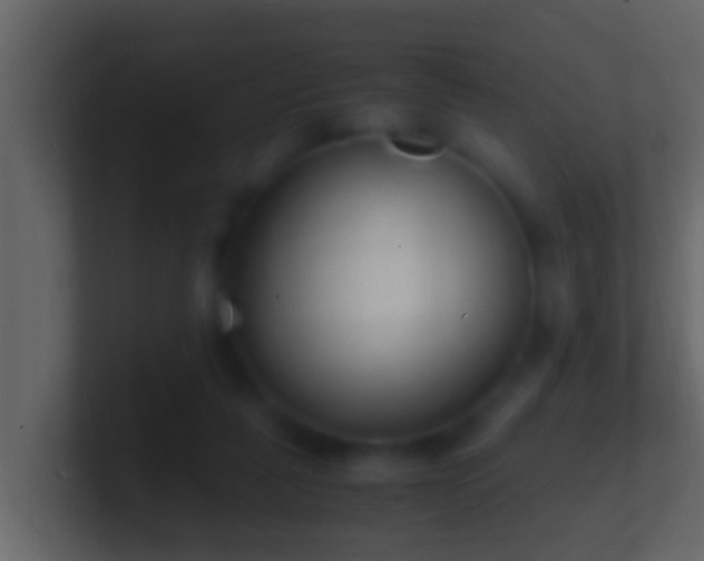X0000101480259200807071510