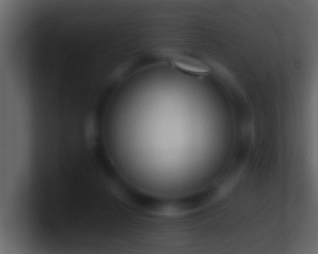 X0000101480264200807071510