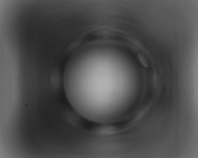 X0000101480266200807071510