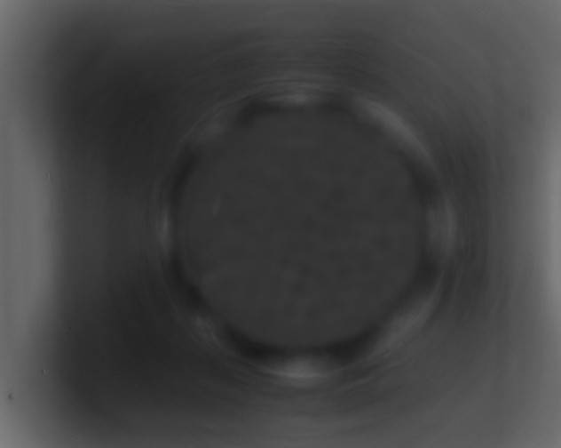 X0000101480267200807071510