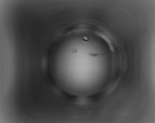 X0000101480269200807071510