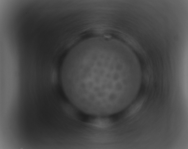 X0000101480270200807071510