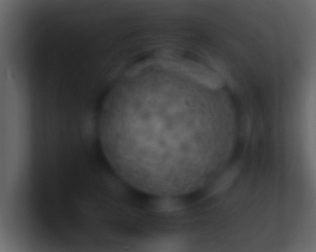X0000101480273200807071510