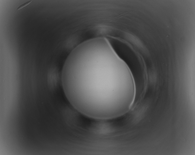 X0000101480276200807071510