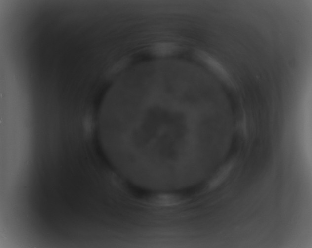 X0000101480277200807071510