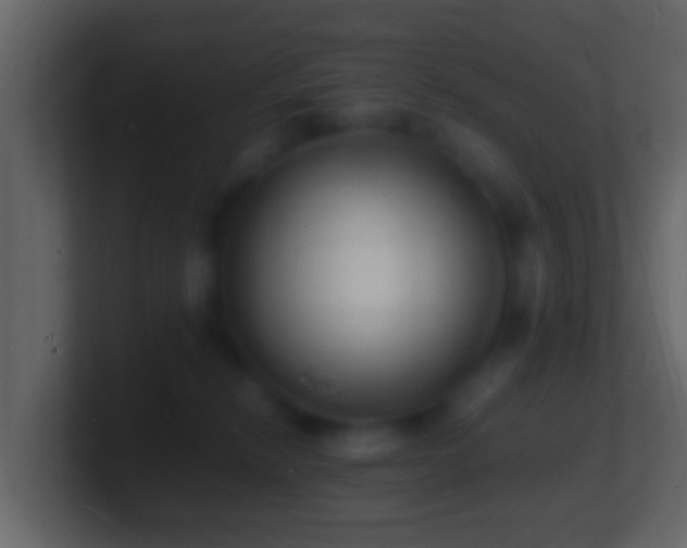 X0000101480278200807071510