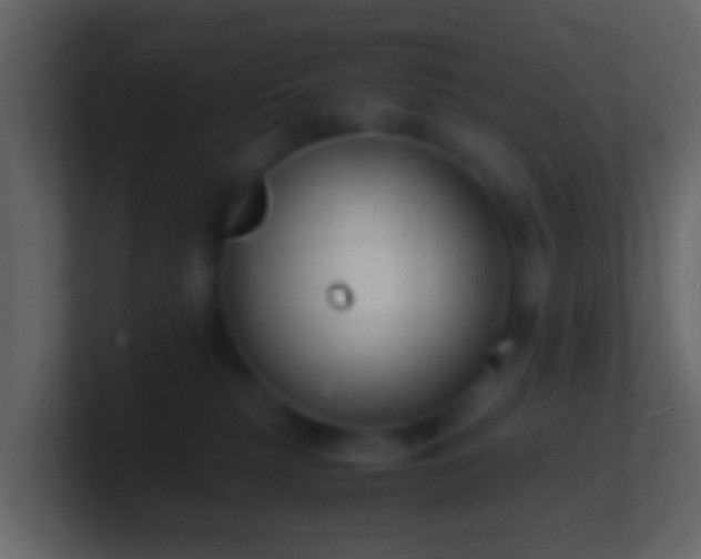 X0000101480279200807071510
