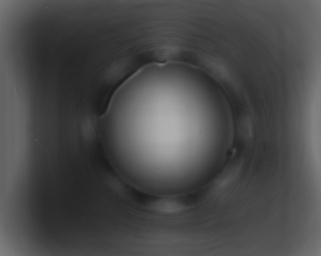 X0000101480280200807071510