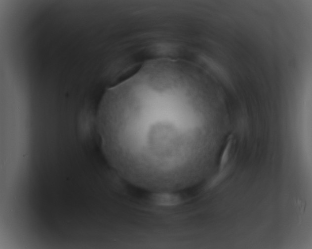 X0000101480281200807071510