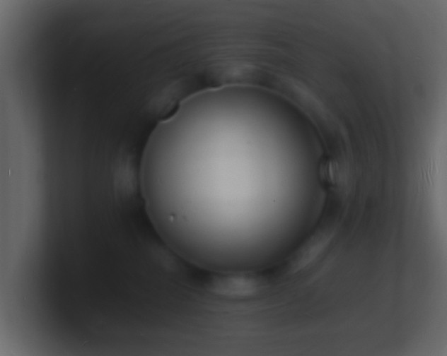 X0000101480282200807071510