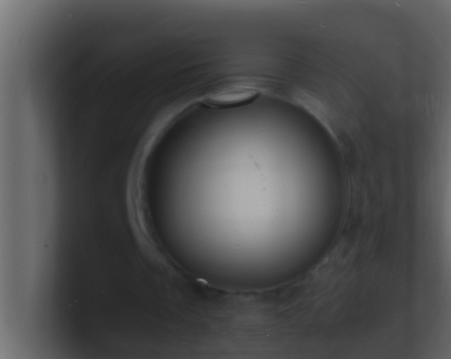 X0000101480289200807071510
