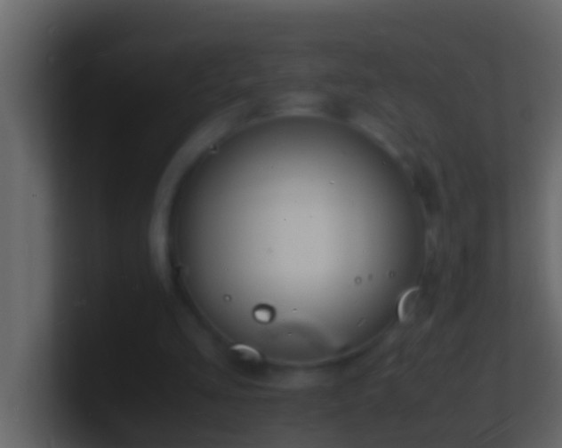 X0000101480293200807071510