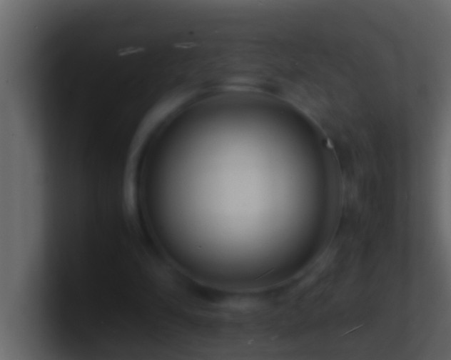 X0000101480294200807071510