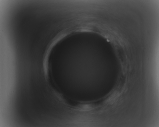 X0000101480295200807071510