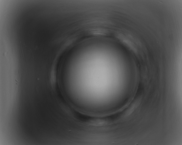 X0000101480299200807071510