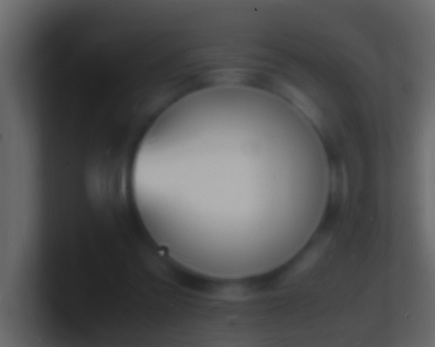 X0000101480301200807071510
