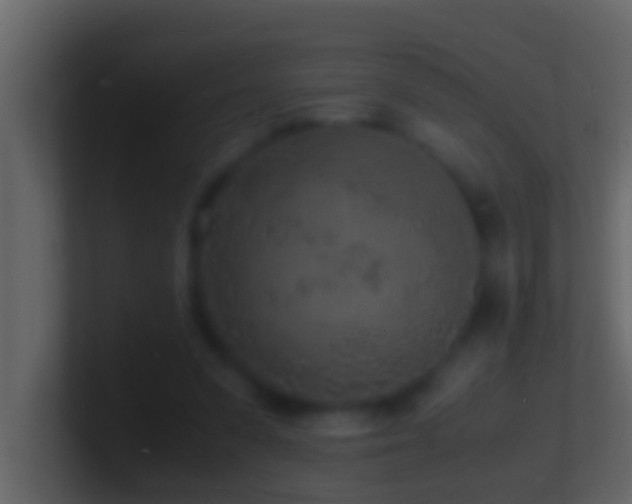 X0000101480303200807071510