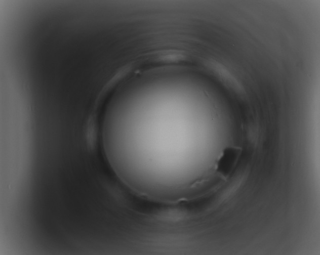 X0000101480304200807071510