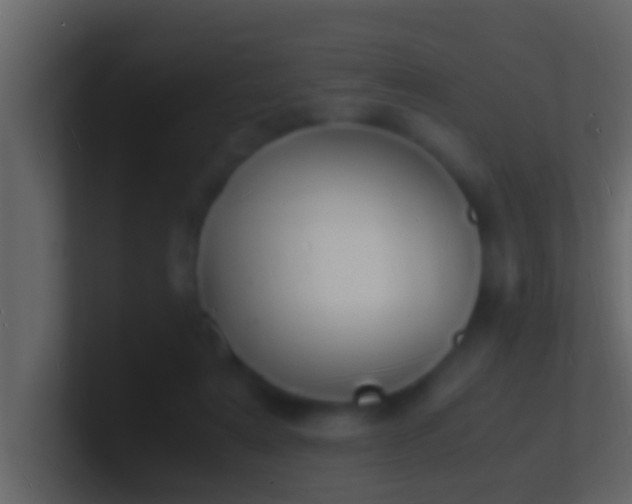 X0000101480307200807071510