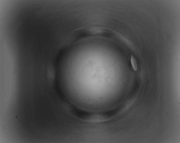 X0000101480315200807071509
