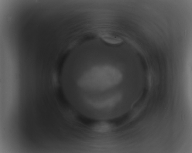 X0000101480316200807071509